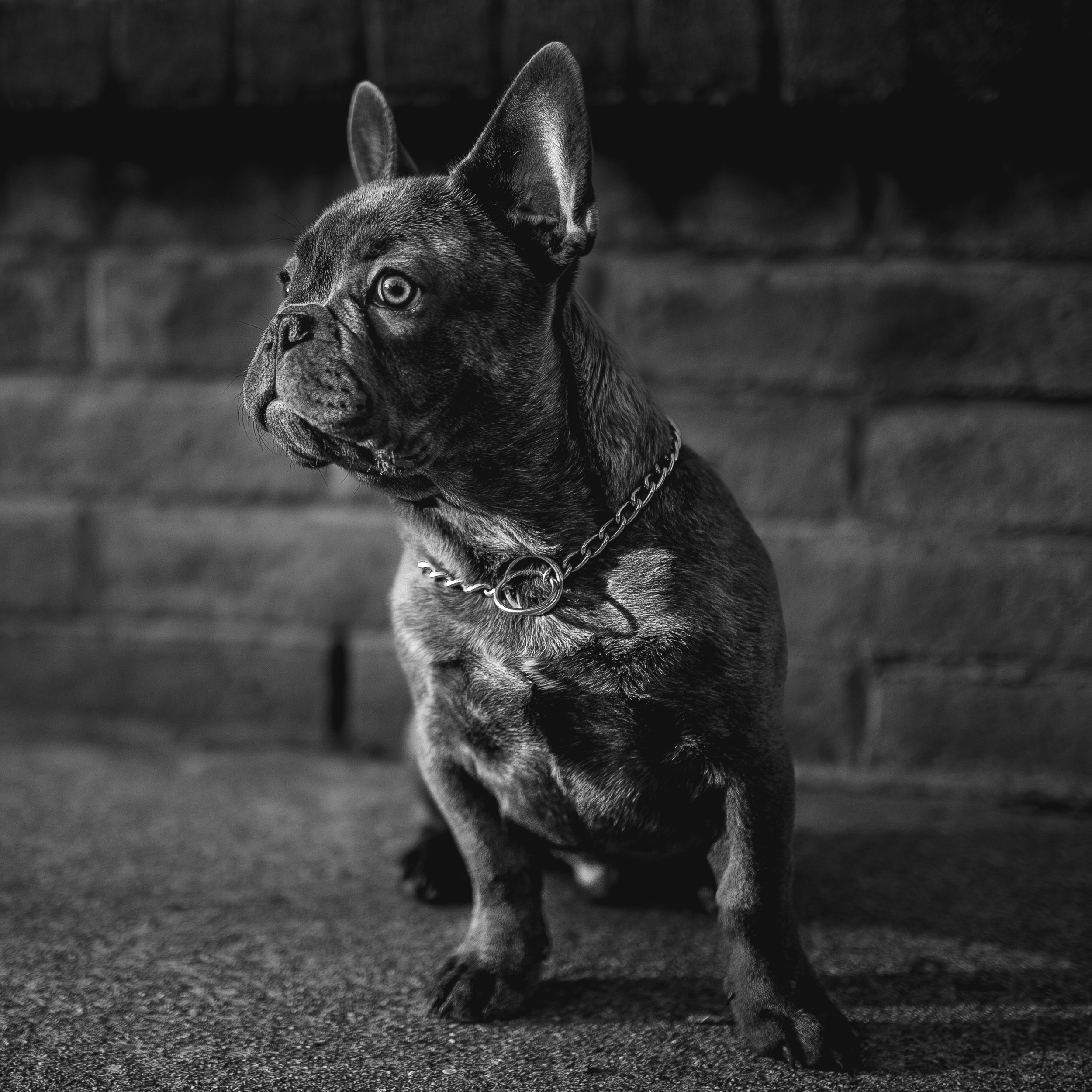 Roderick_Cooney_Photography_2016_-1-11.jpg