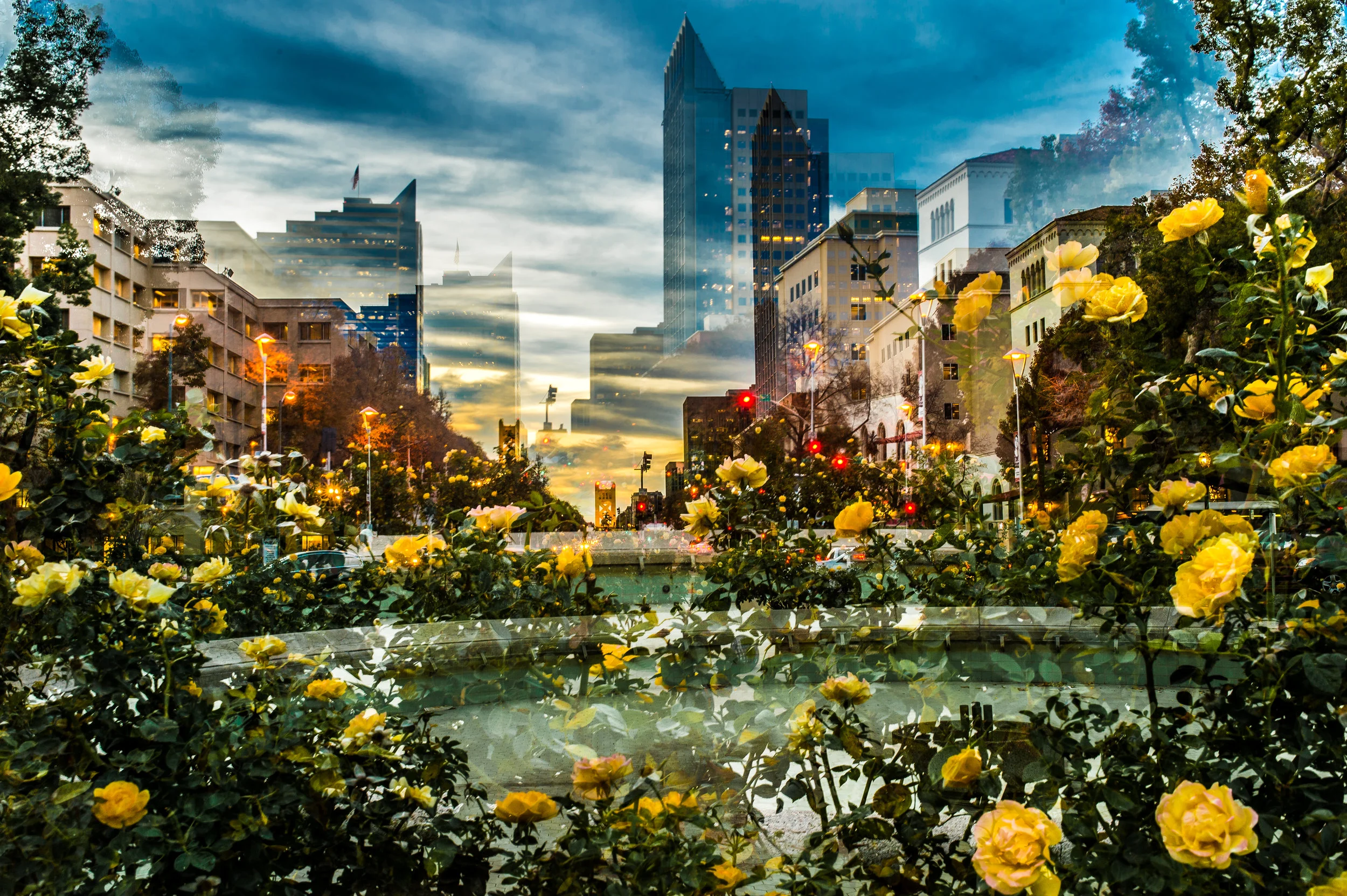 Roderick_Cooney_2016_City_Double_Exposure-1.jpg