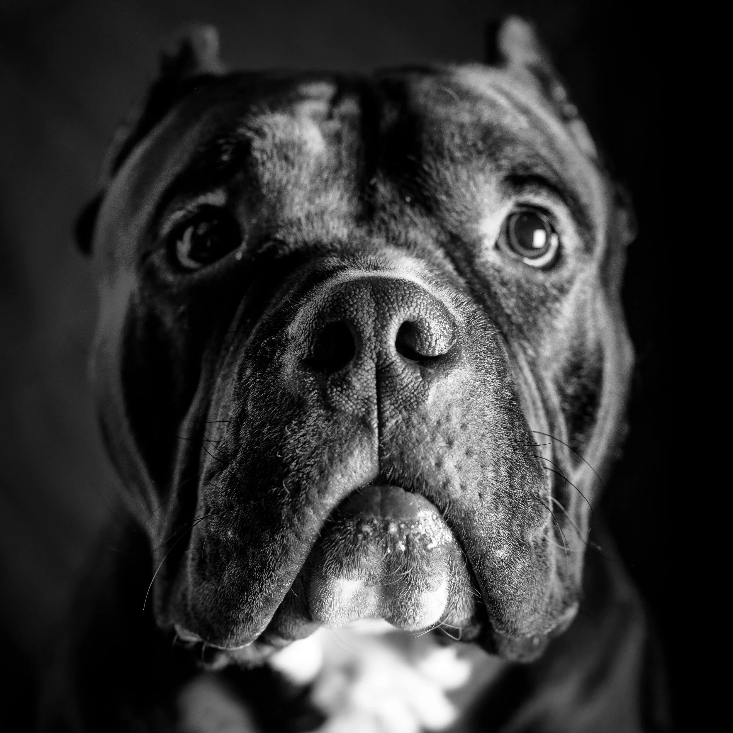 Roderick_Cooney_Photography_2016_-1-8.jpg