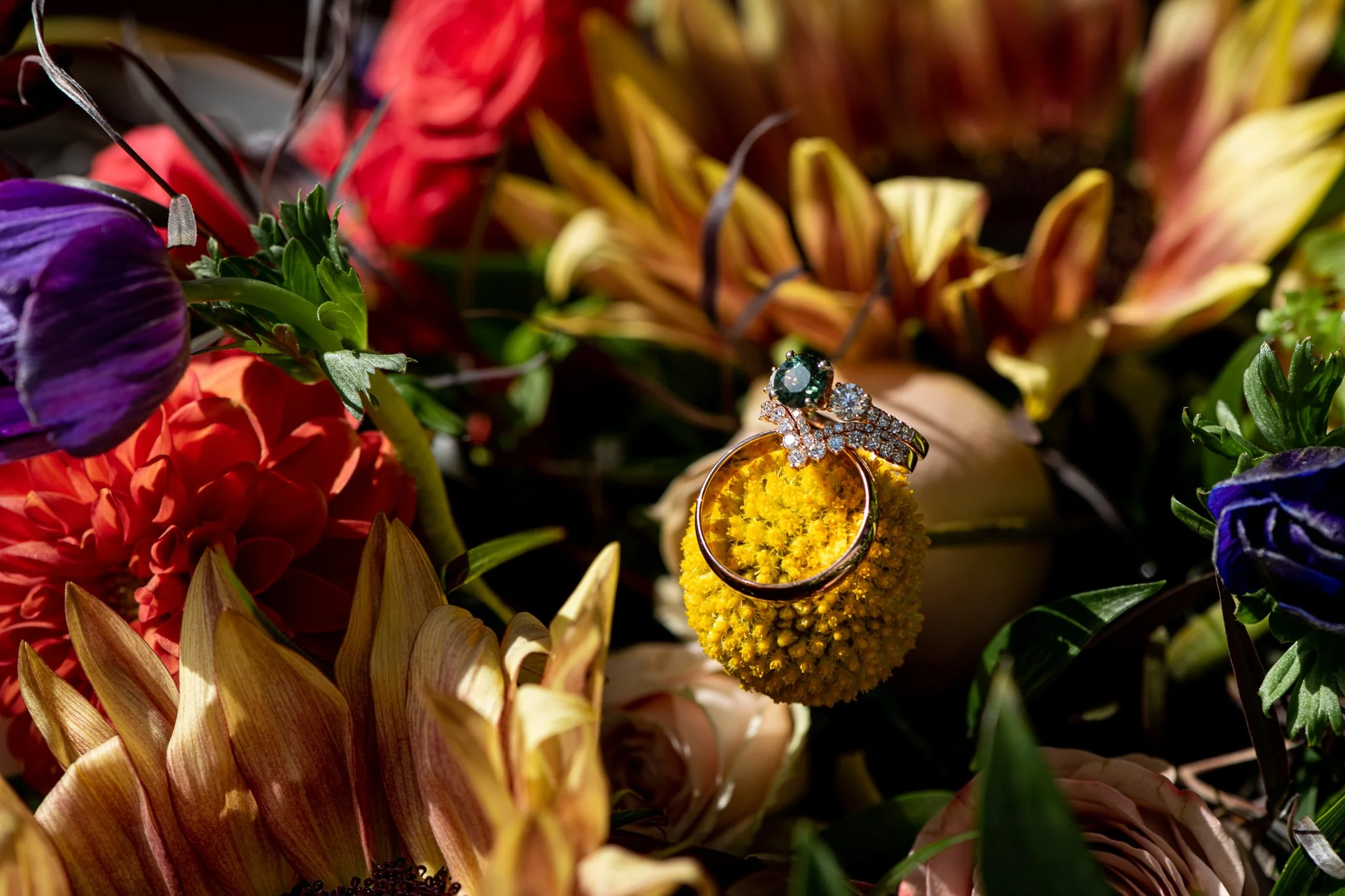 Roderick_Cooney_Photography_2022_-35.jpg