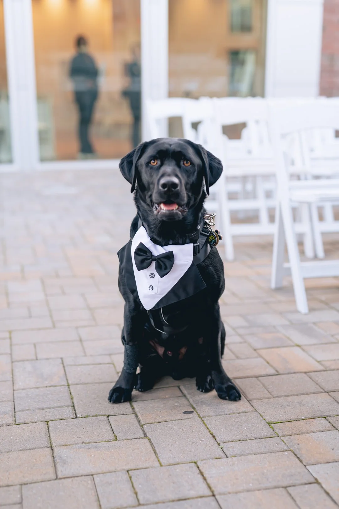Roderick_Cooney_Photography_2022_Diana_Tony_Wedding-28.jpg