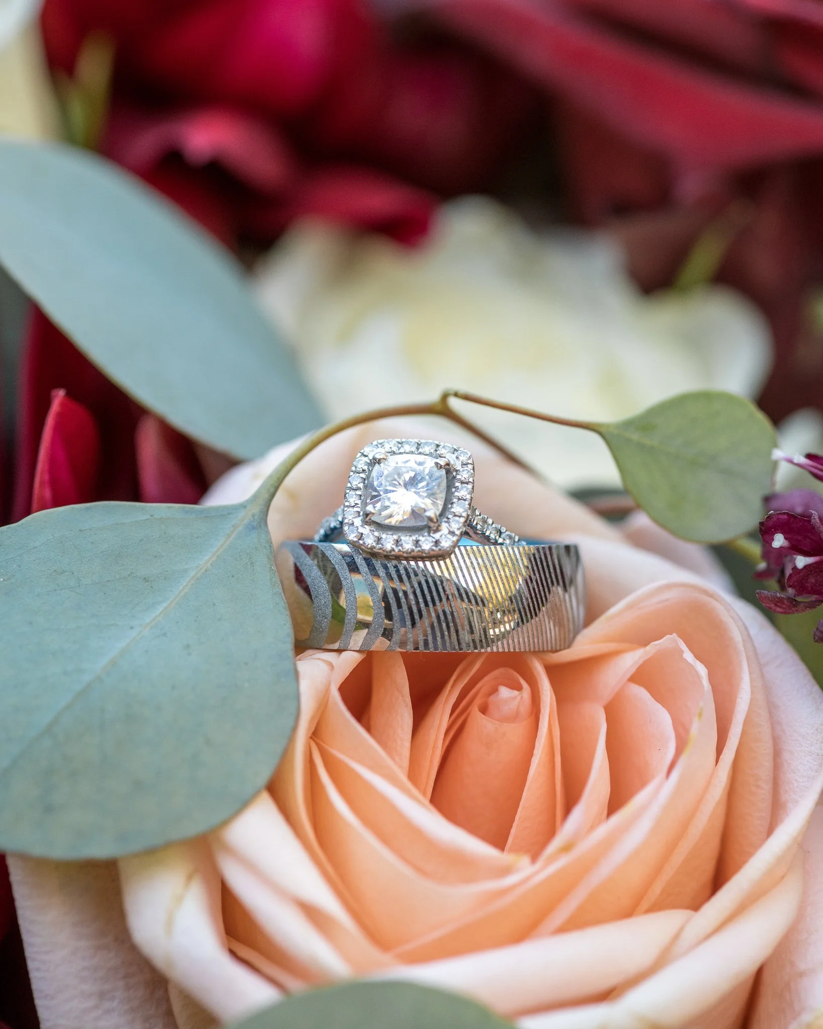 Roderick_Cooney_Photography_2019_-461.jpg