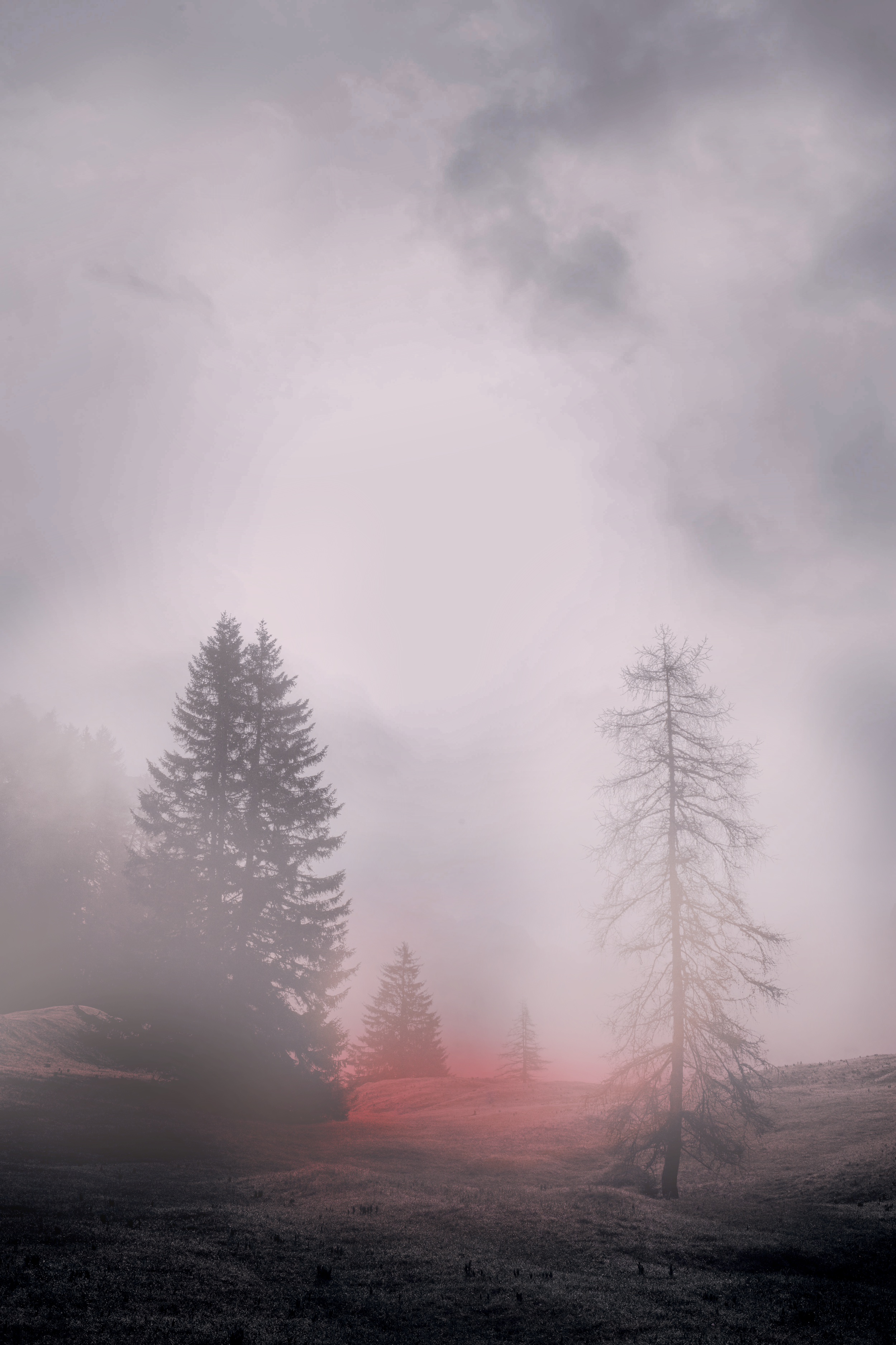 crhis-jan2full-blank COPY.png