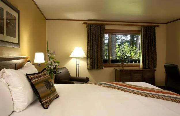 skamania lodge 2.jpeg