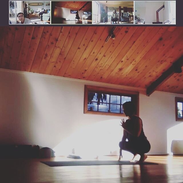 We are offering some classes at the Space and on Zoom concurrently so friends from afar can join us. Whether it saves you travel time, or if you just like doing yoga in your PJs 🧘&zwj;♂️ with your dog, 🐕 we welcome you to join us. 
Comment here or 