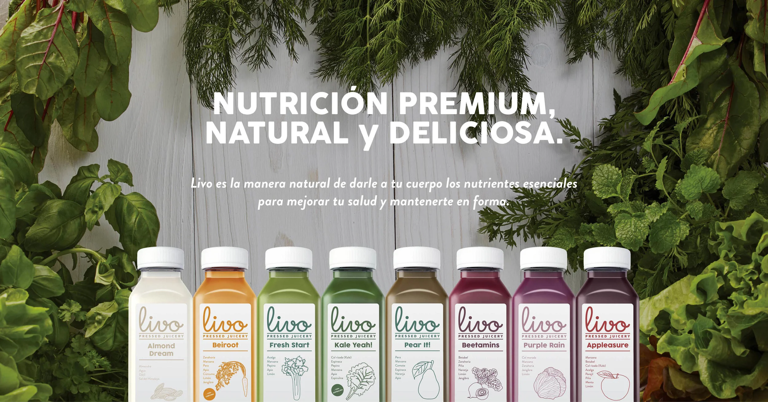 Branding - Livo1.jpg