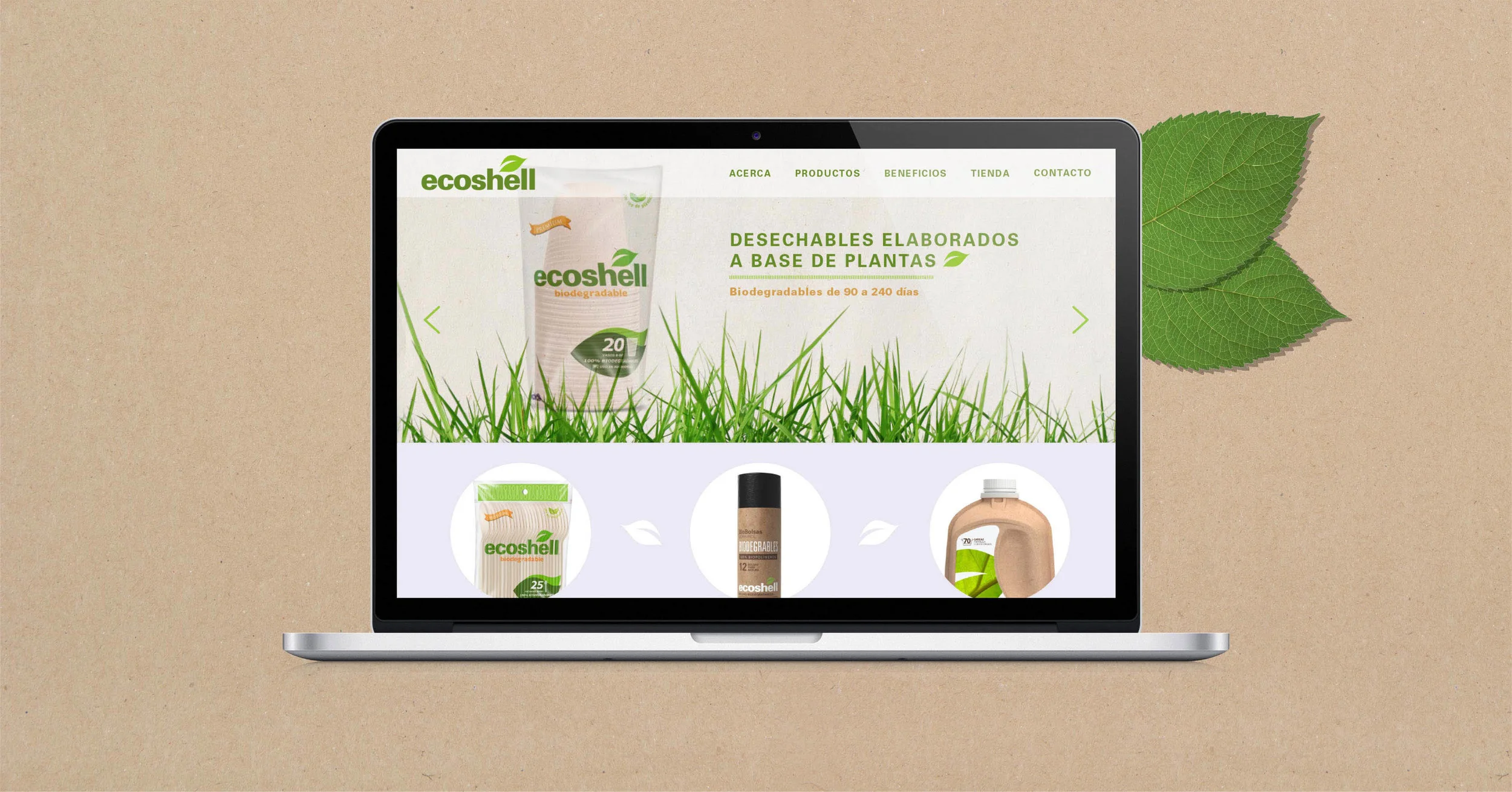 Ecoshell Web1.jpg