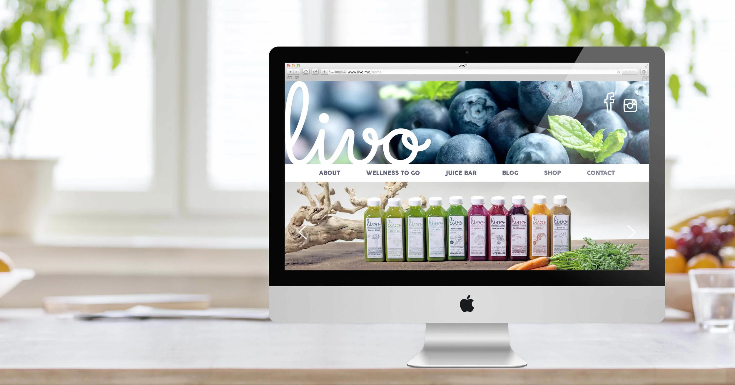 Livo Web8.jpg