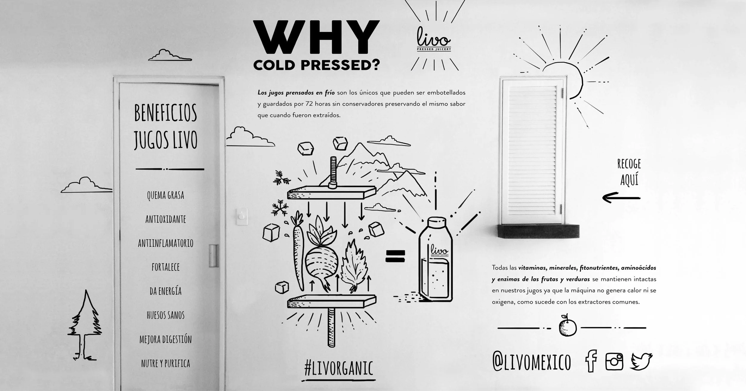 Branding - Livo5.jpg