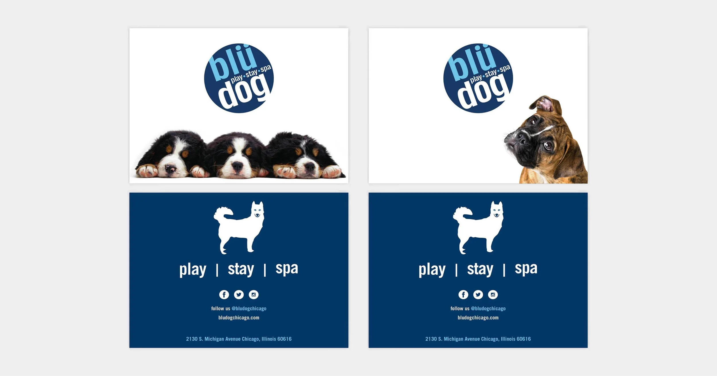 Branding -  Blüdog2.jpg