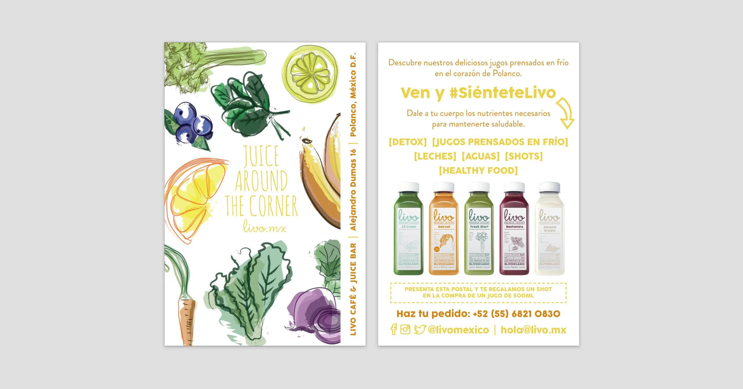 Branding - Livo3.jpg