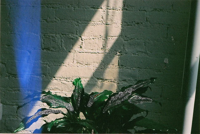12110716806_44bb2cfe00_z.jpg
