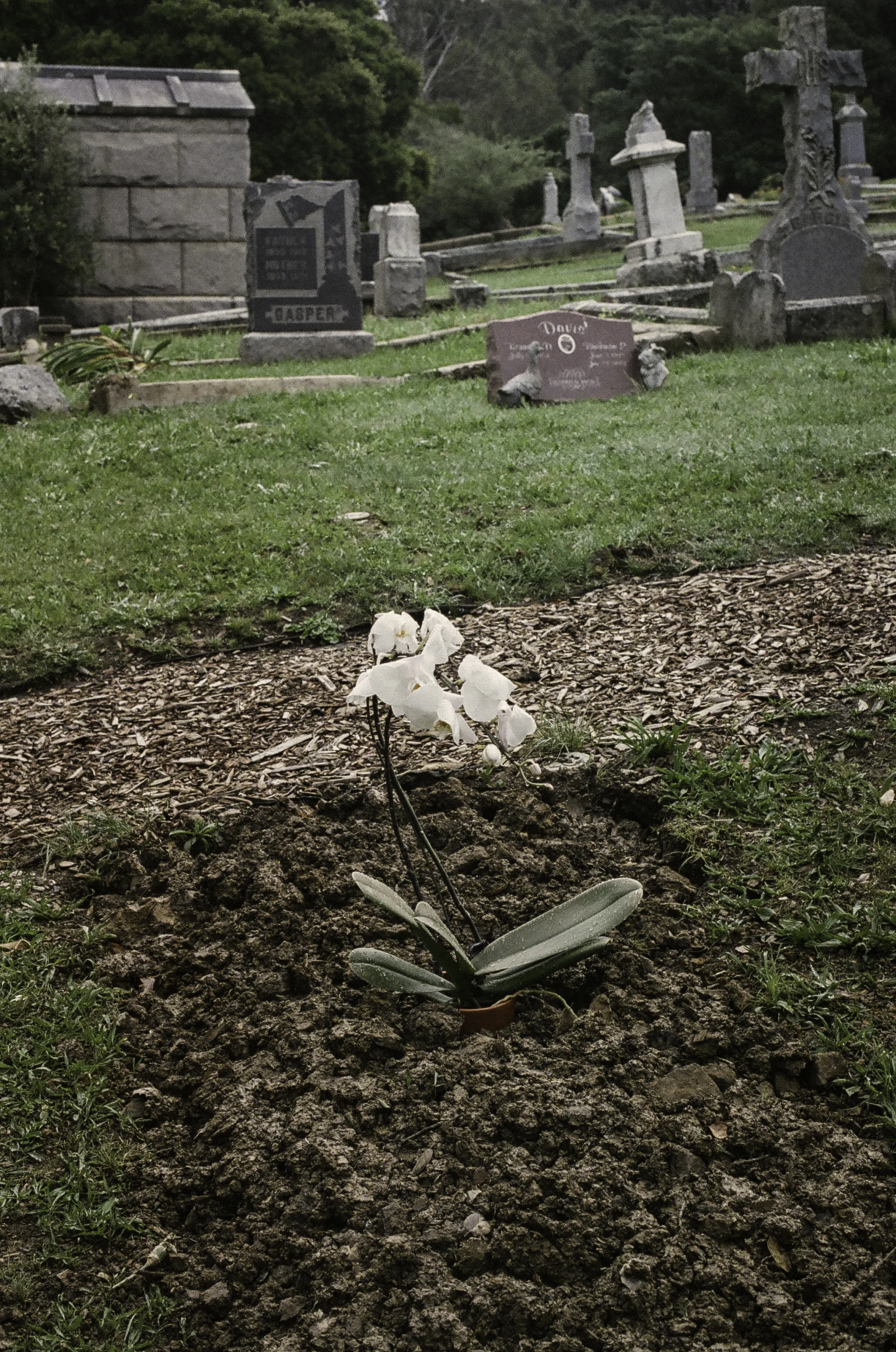 Borden_Lucy_FinalProject_Edit18.jpg