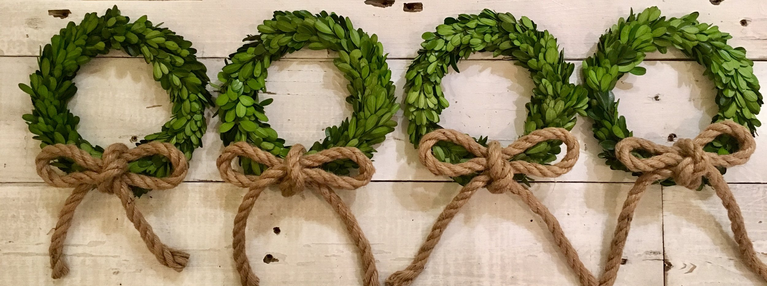 Preserved Boxwood w Rope Bow