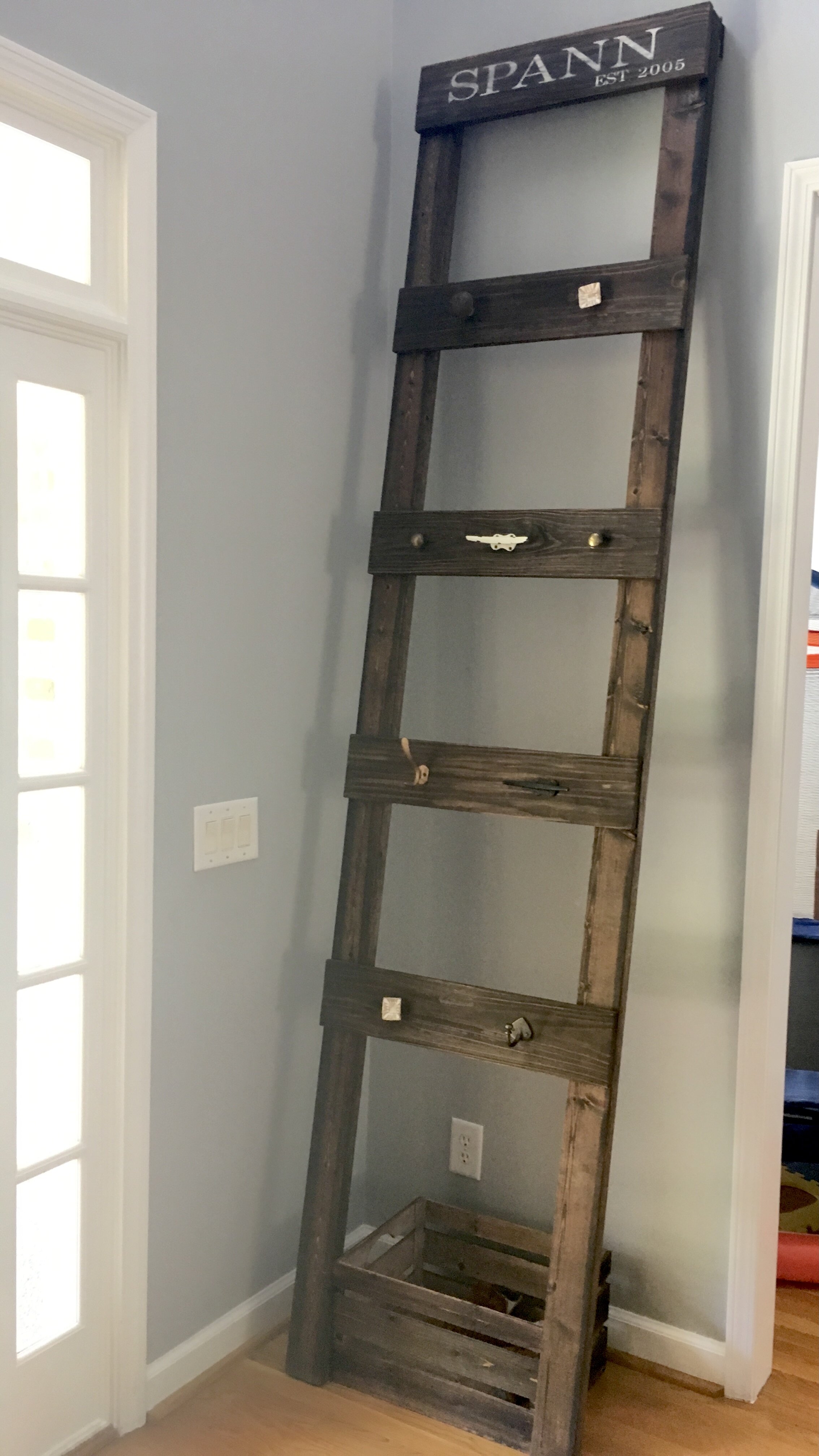 Wall Mounted Entry Ladder
