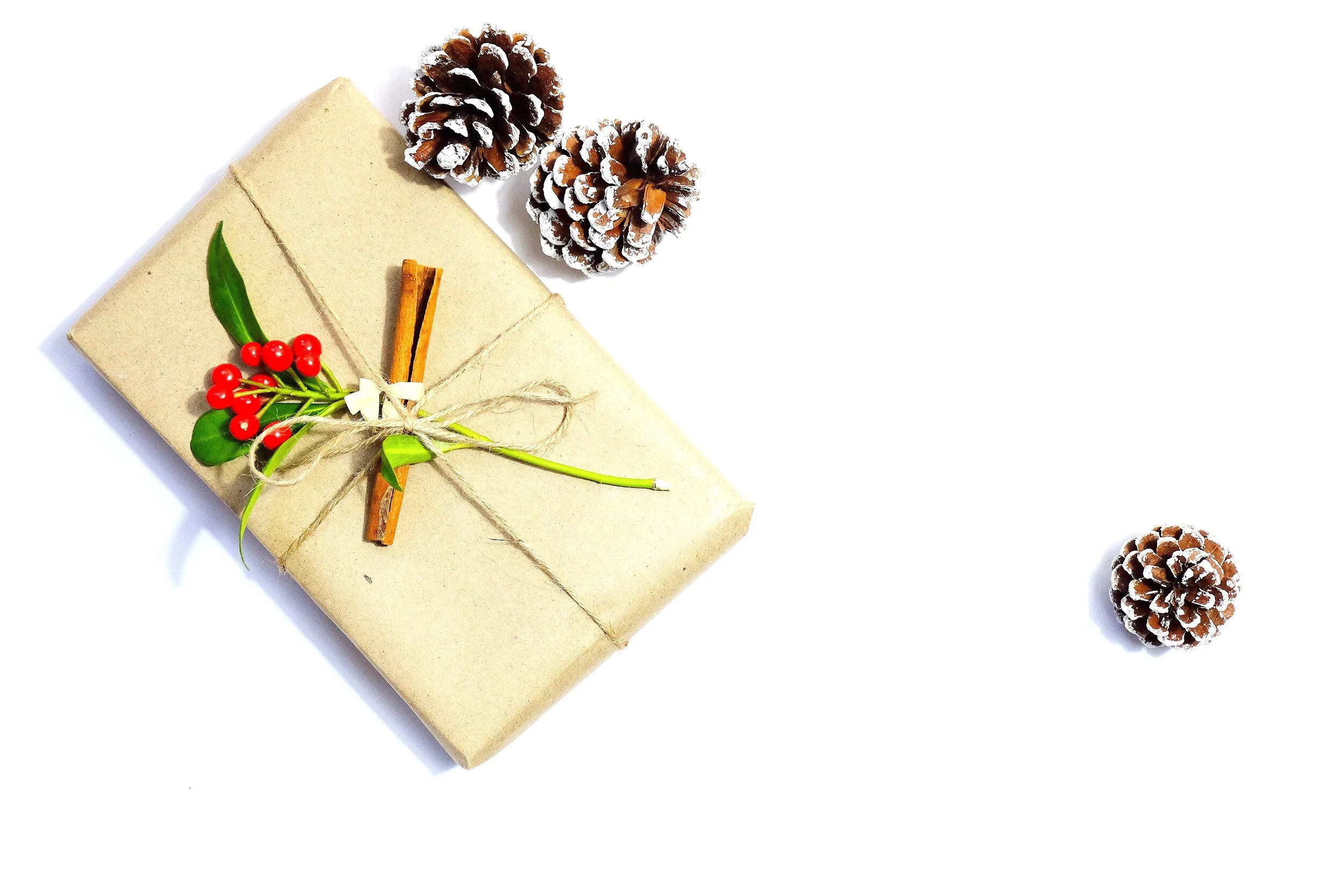 bow-craft-decorating-793521.jpg