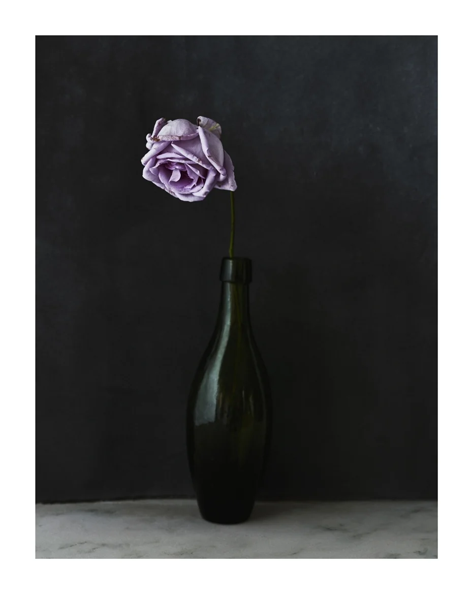 Rose in Green Bottle 0J2A6028 Crop.jpg