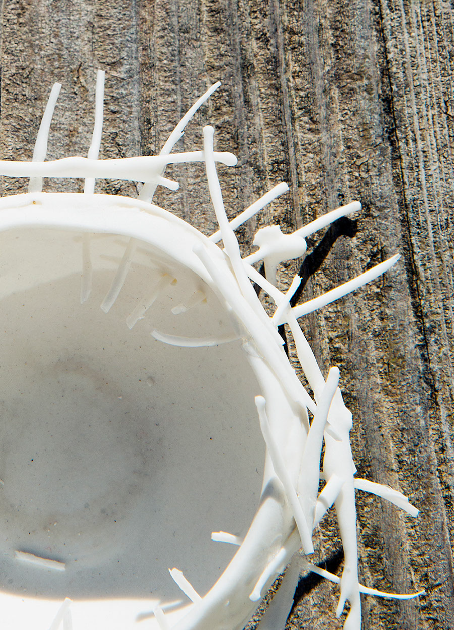 nest on wood.png