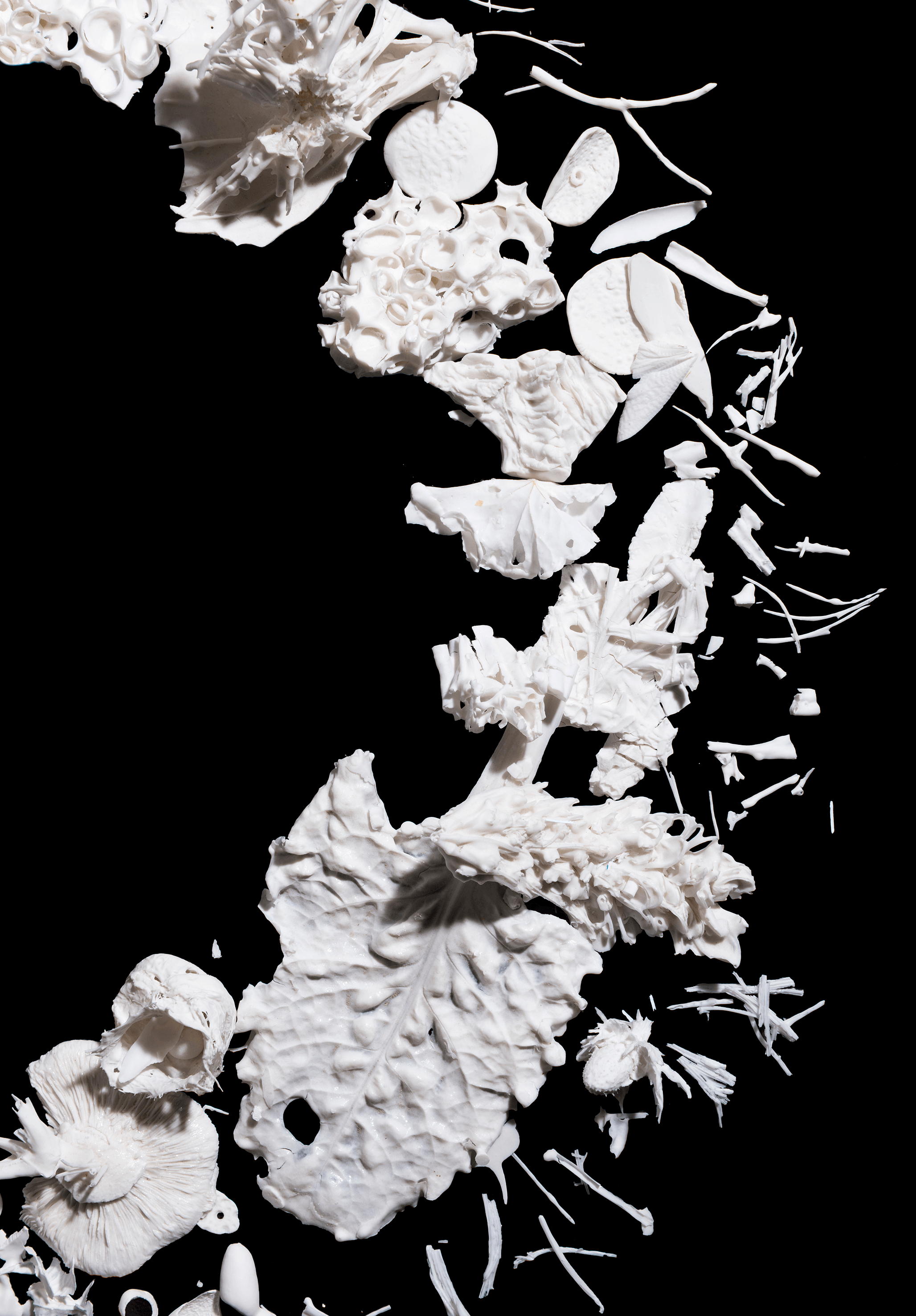 Photography: Brenton McGeachie