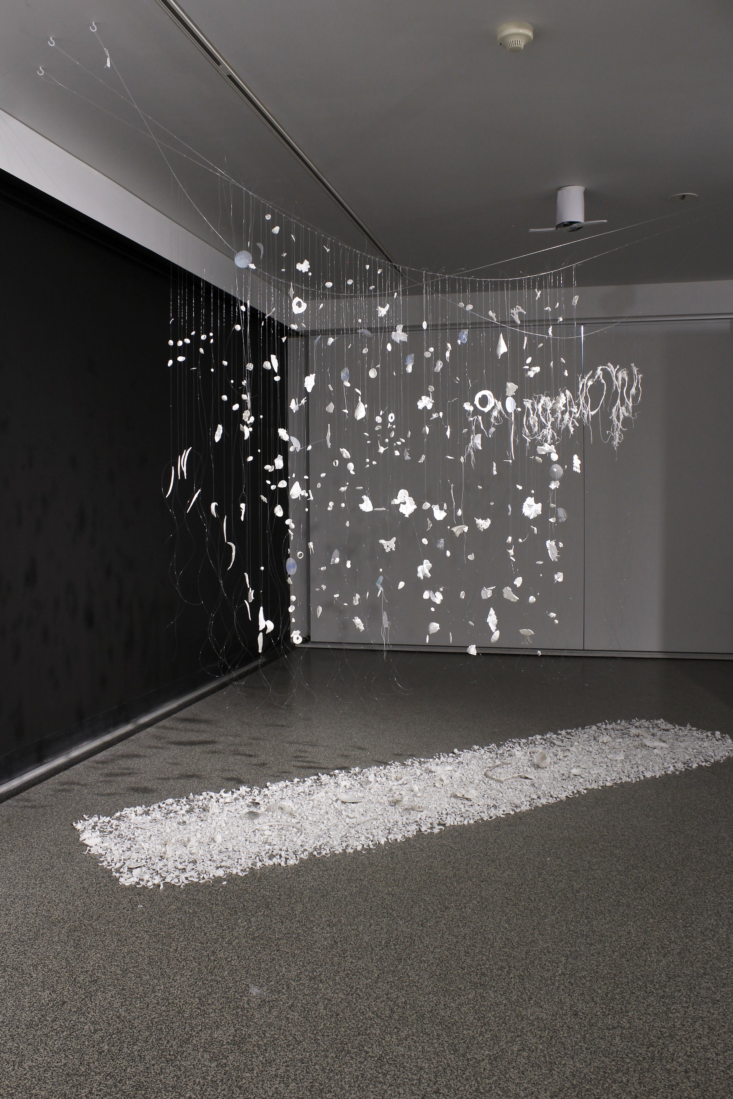 veils of detritus.JPG