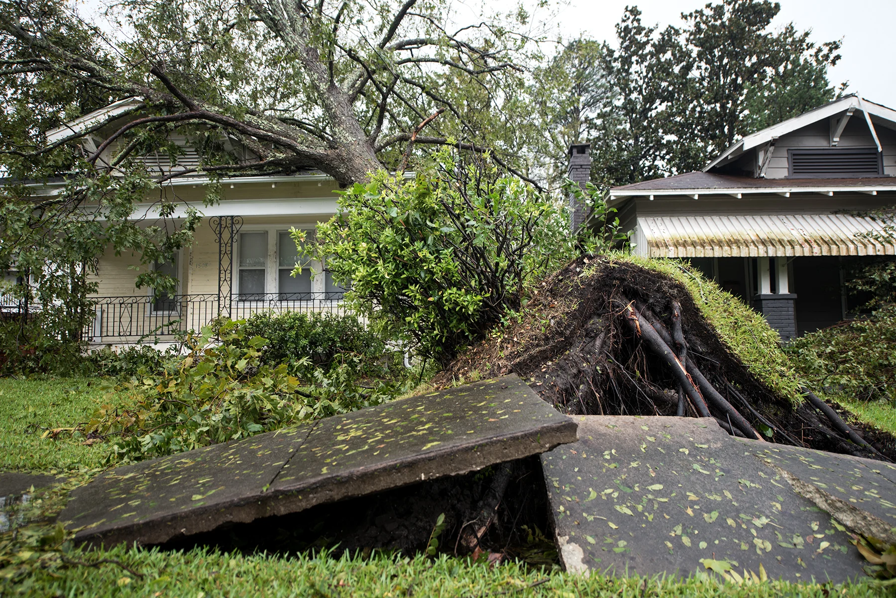 A tree is pulled from the ground and has fallen ontop of a house from Hurricane Florence in the Southside district in Wilmington, NC, USA, September 15, 2018.