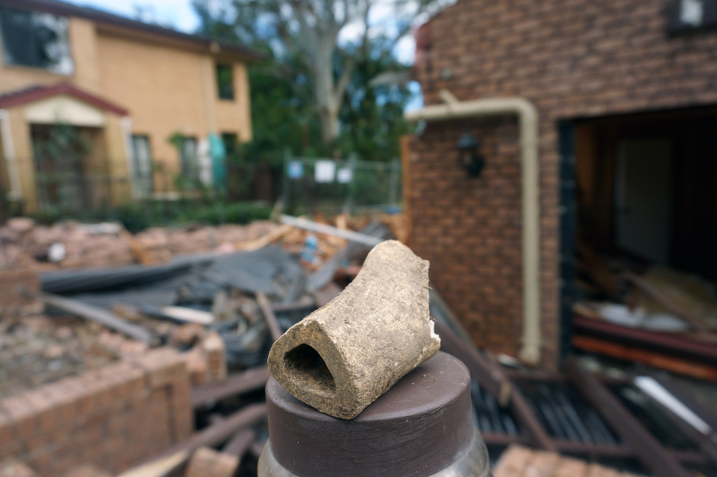 Fig.1 - The mystery bone of Turramurra