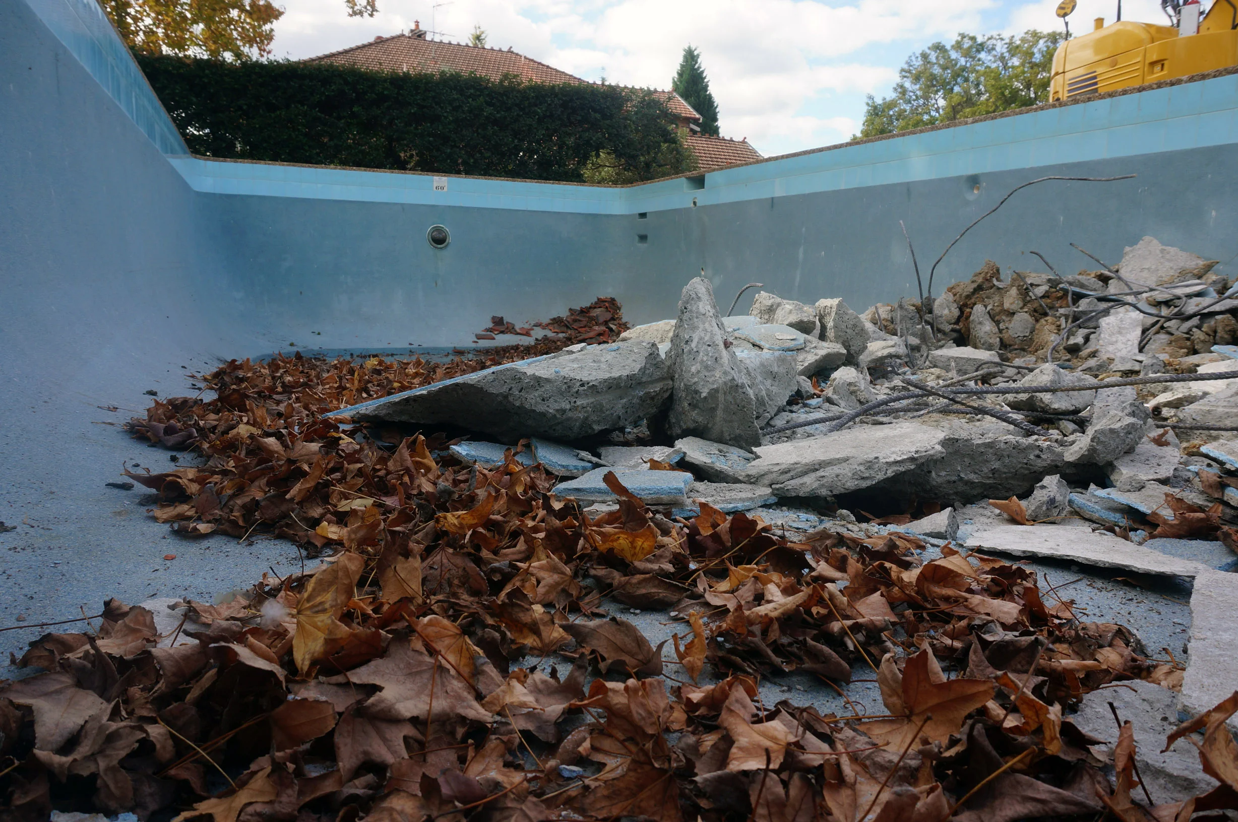 Deciduous leaves falling means it's time to get out of the pool #winter