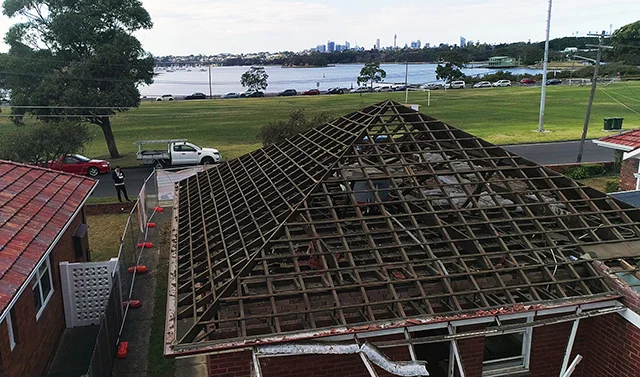 Roofs are removed before the demolition begins, giving the animals a chance to leave.
