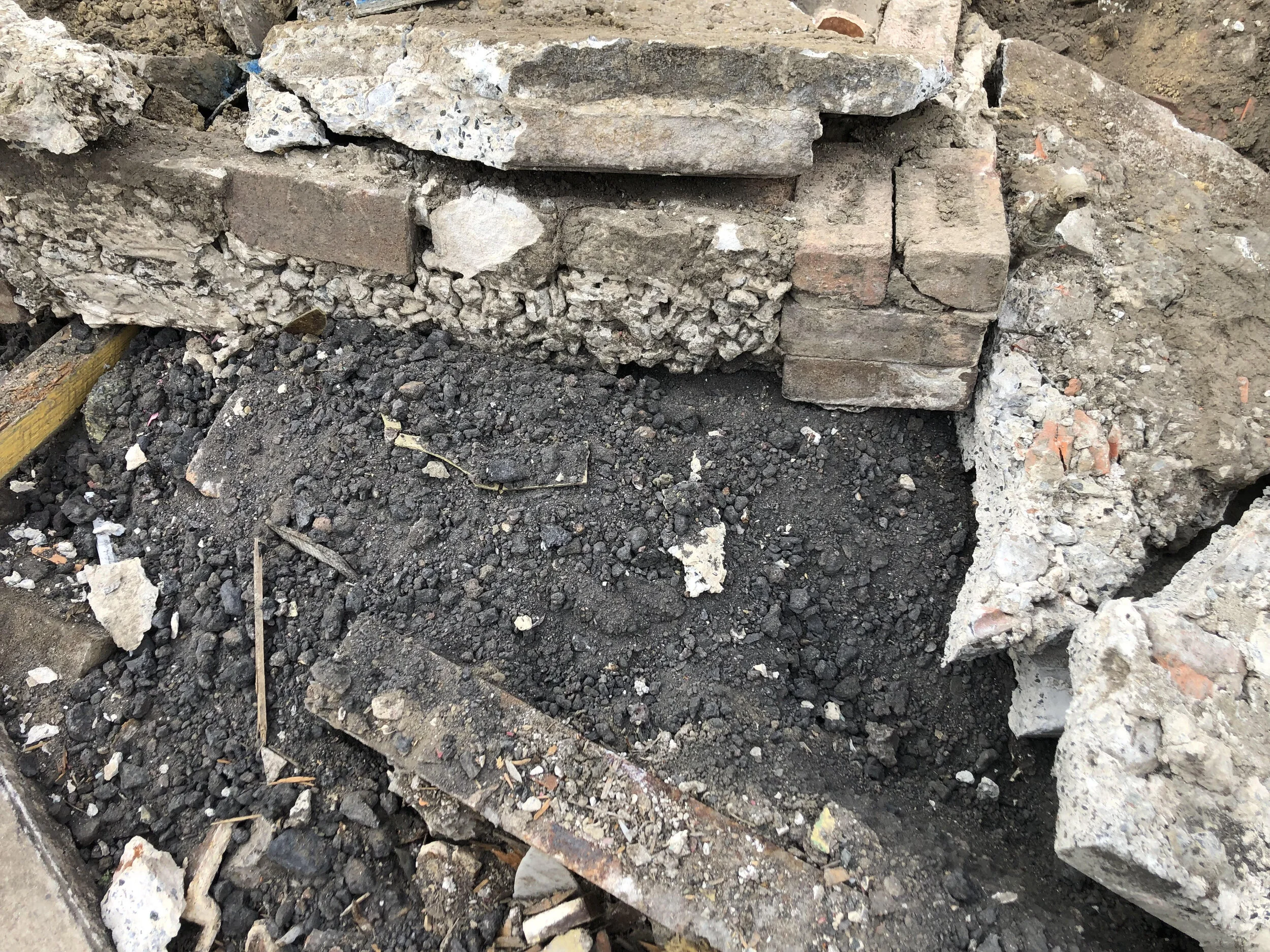 FlyAsh1.jpg