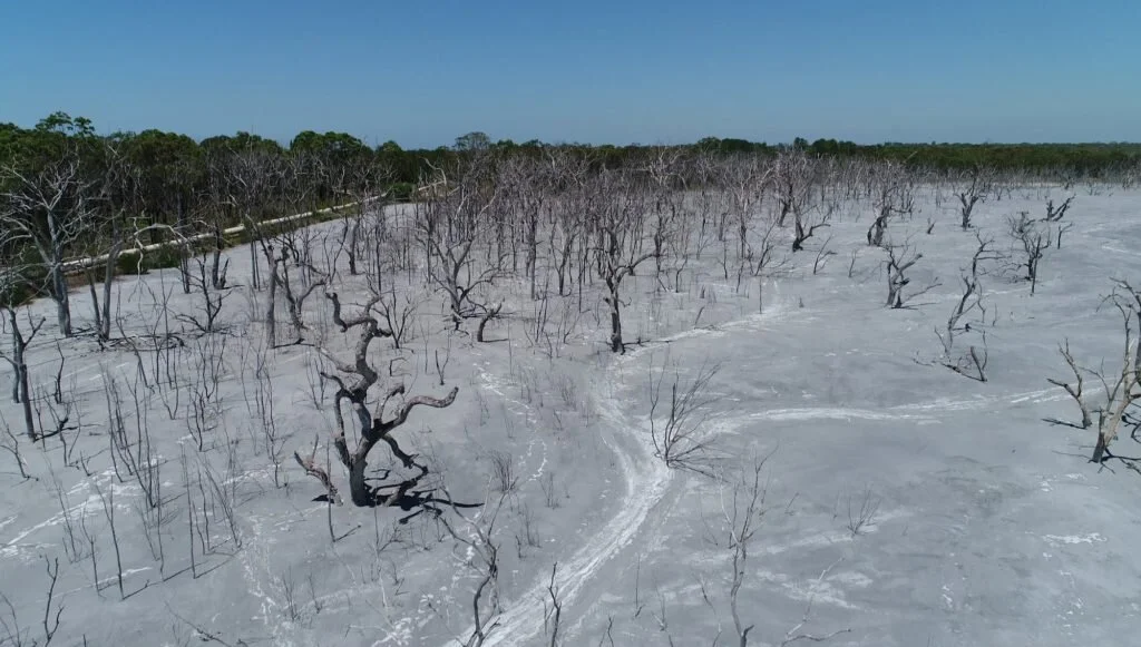 Vales-Point-coal-ash-dam via environmental justice Australia