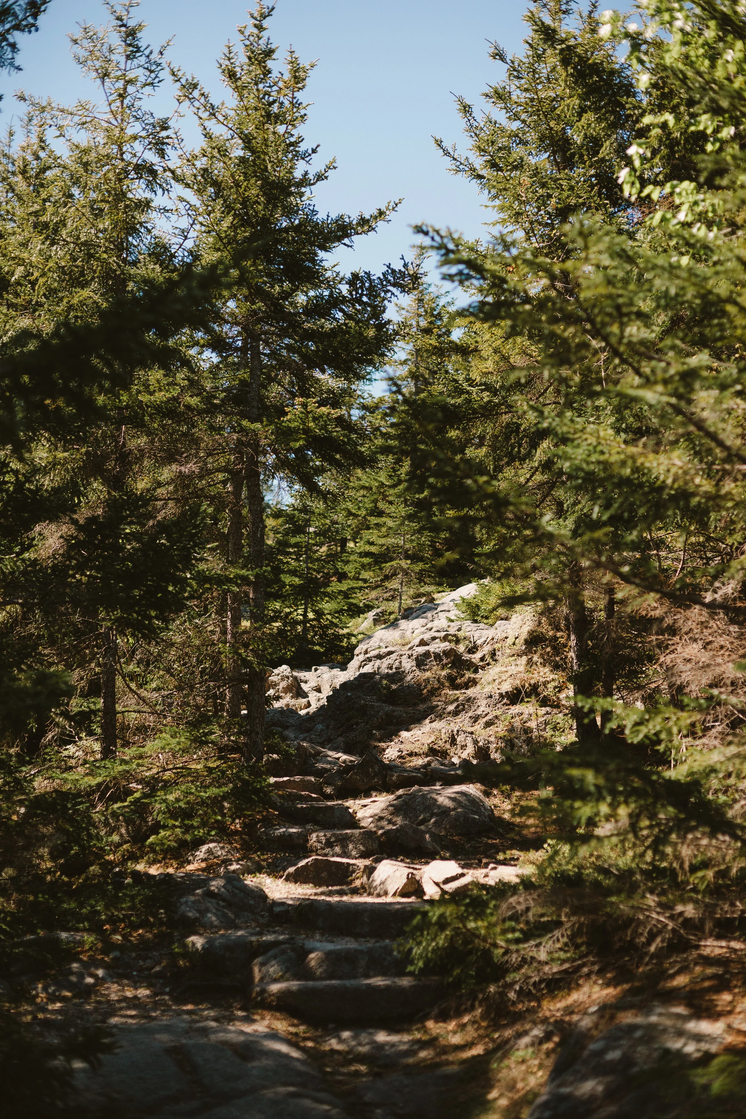 BarHarbor_8.JPG