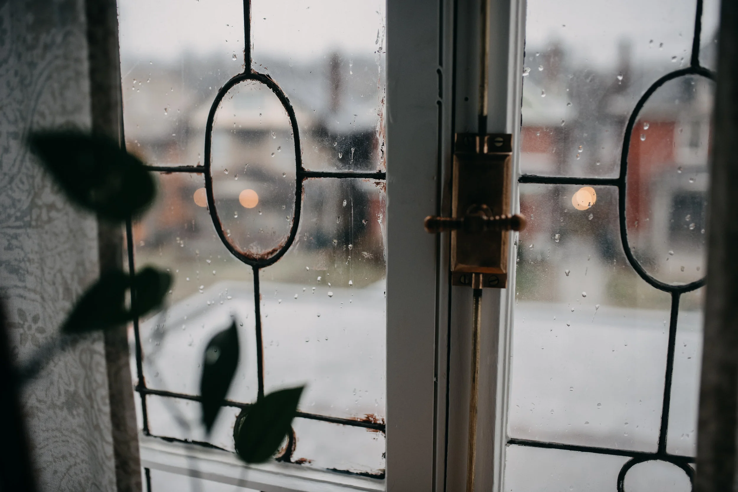 GiaAndTheBlooms-5.jpg