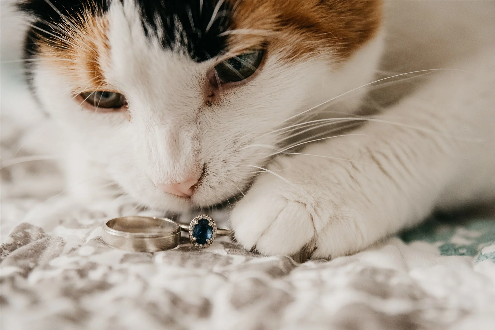 maryandjohn_birdandrose-107.jpg