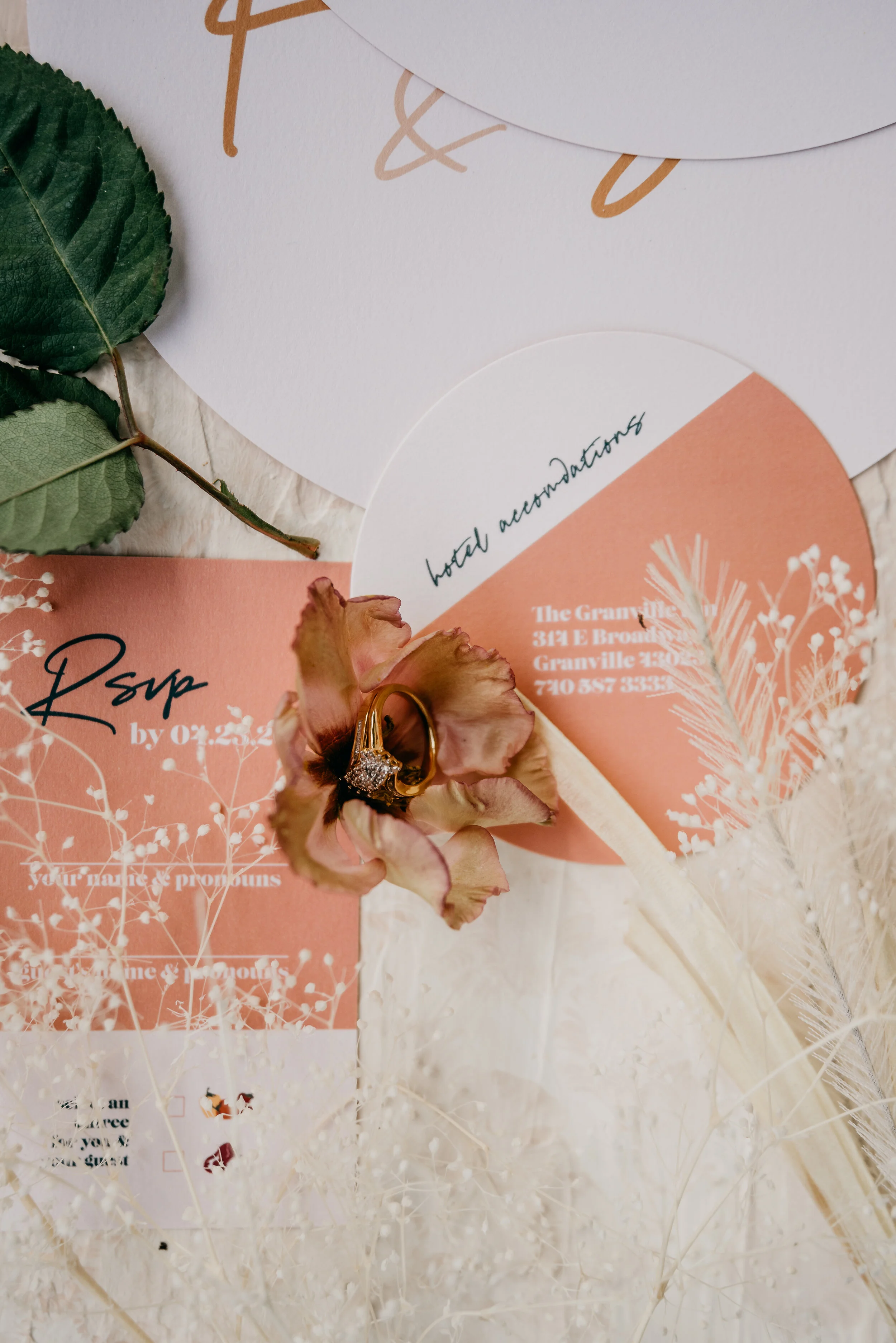 columbusstyledsession_birdandrose-117.jpg