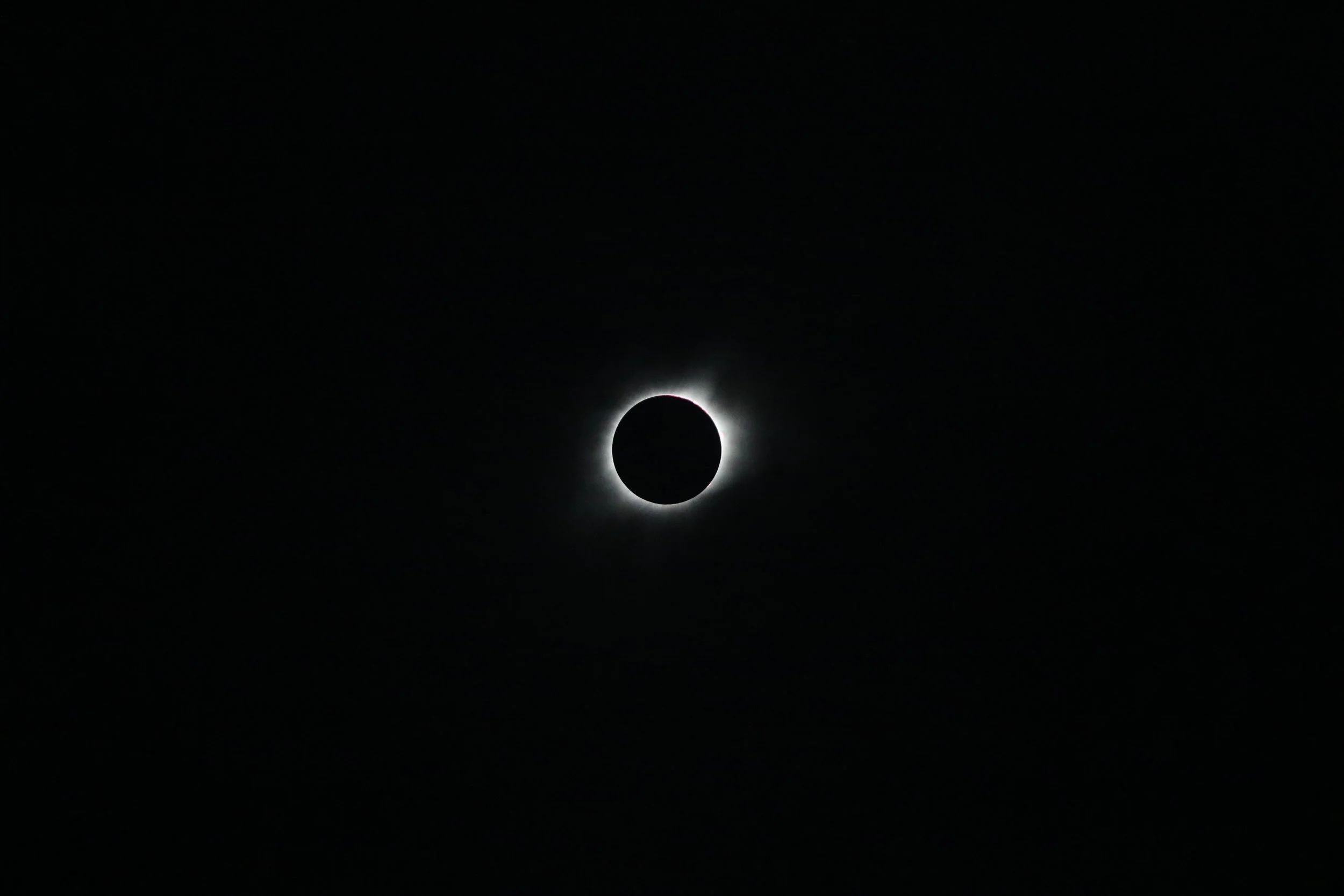 9N4A5929.JPG
