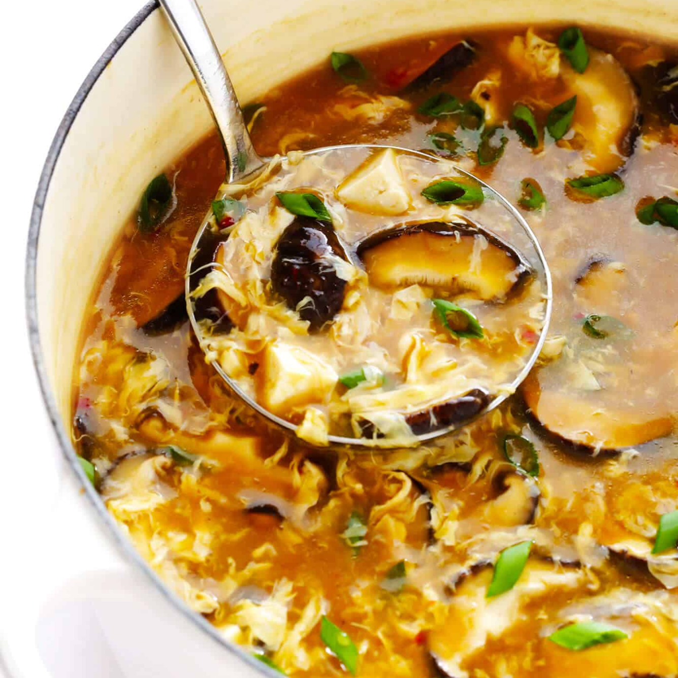Hot+and+Sour+Soup+with+Tofu.png