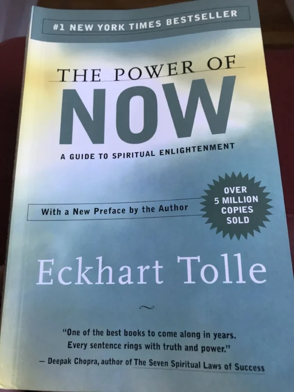 Swans with beards on trains.&nbsp; Bangalore to Mysore.