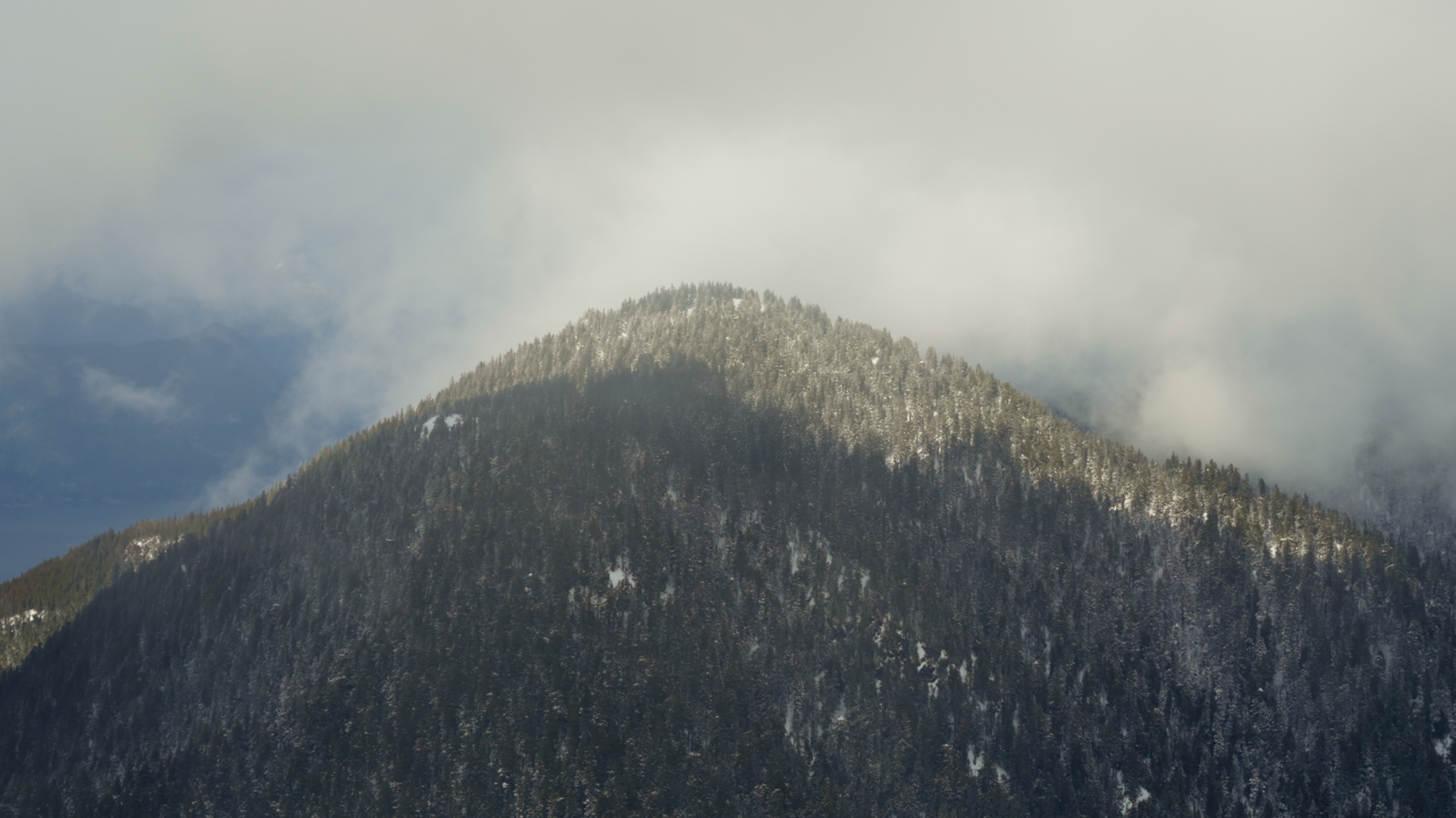 Cypress Promo_swardjun-5.png