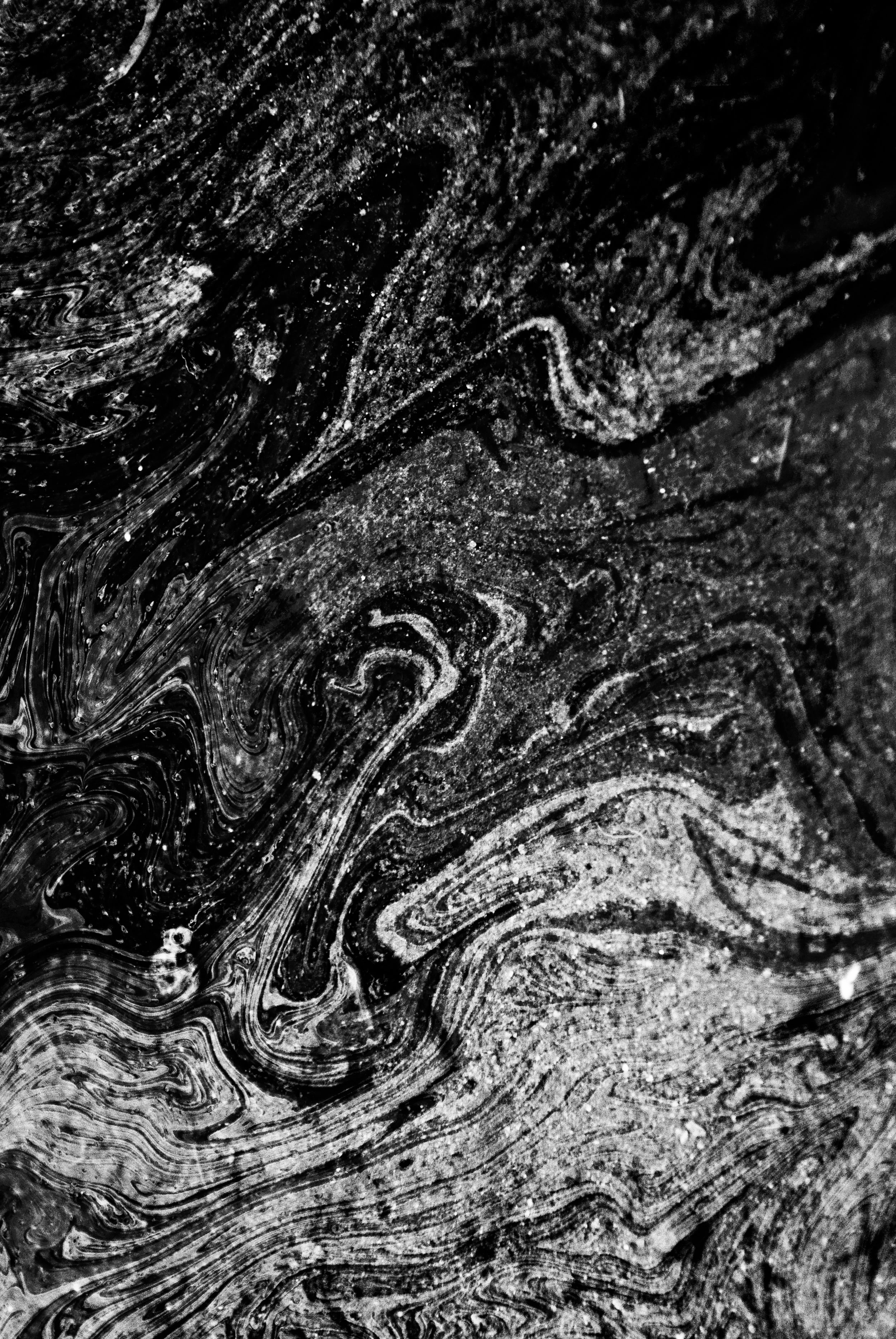DSCF0630.jpg