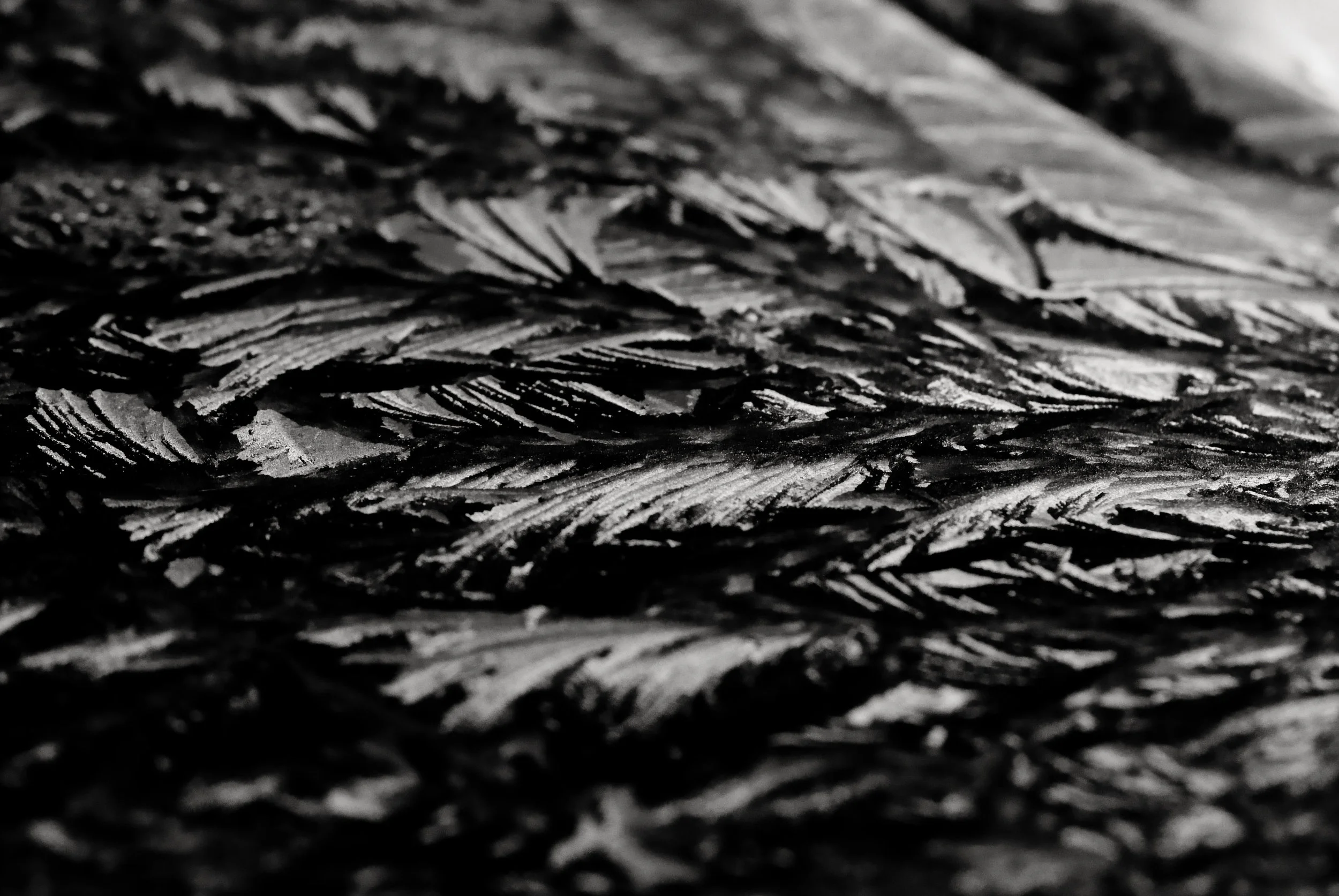 DSCF0910185.jpg