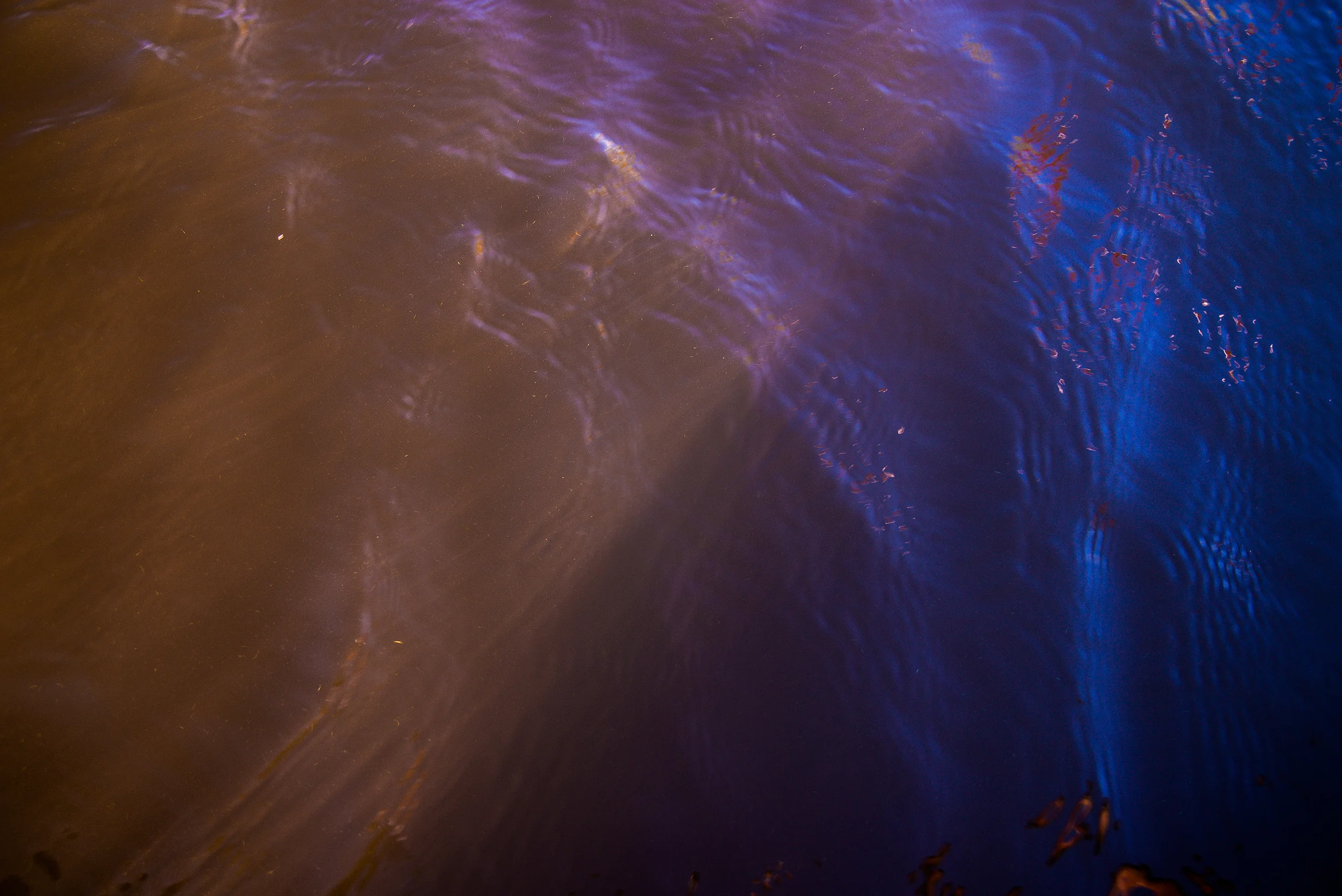 DSC55751.jpg