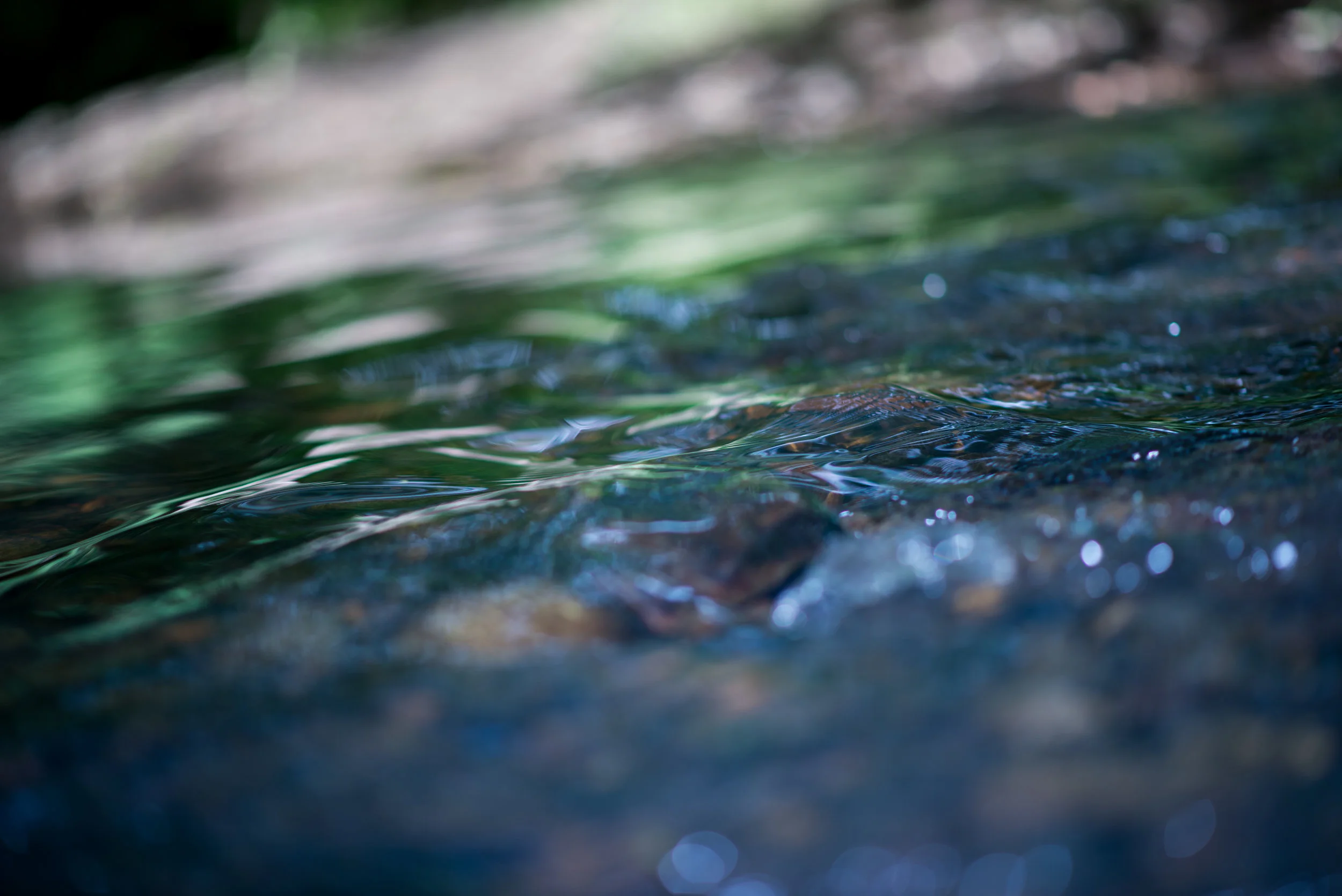 DSC_4052.jpg