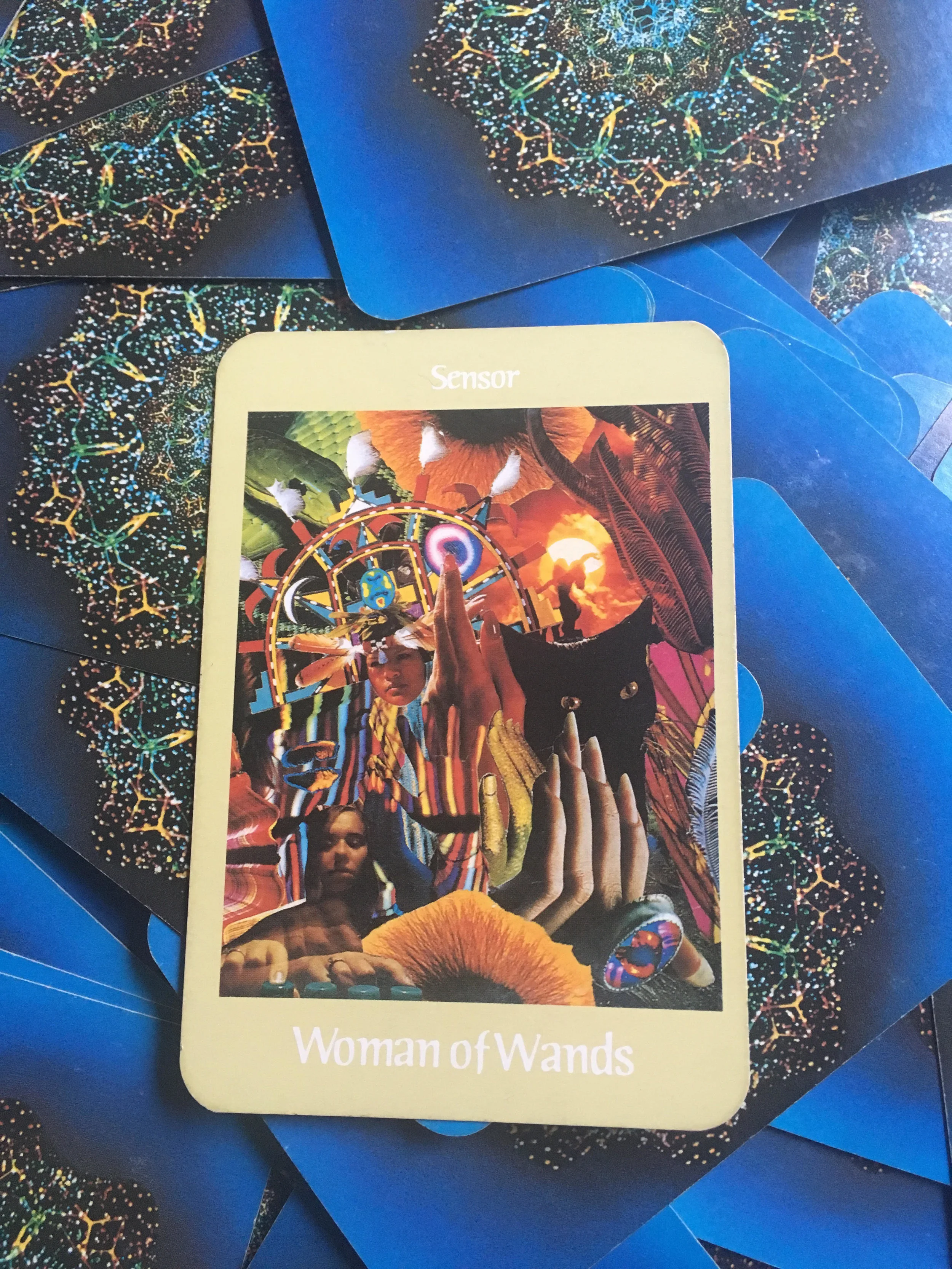 Deck is called Voyager Tarot by James Wanless. 