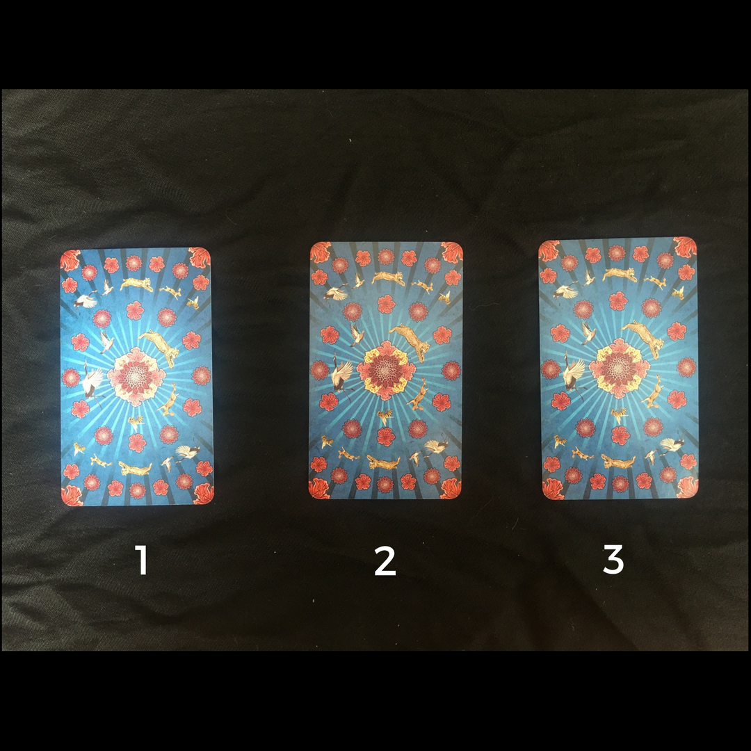 Animal Totem Deck by Leeza Robertson