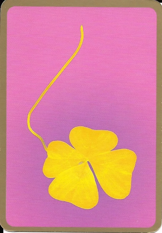 Clover