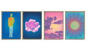 Post - Emily Rose Divination