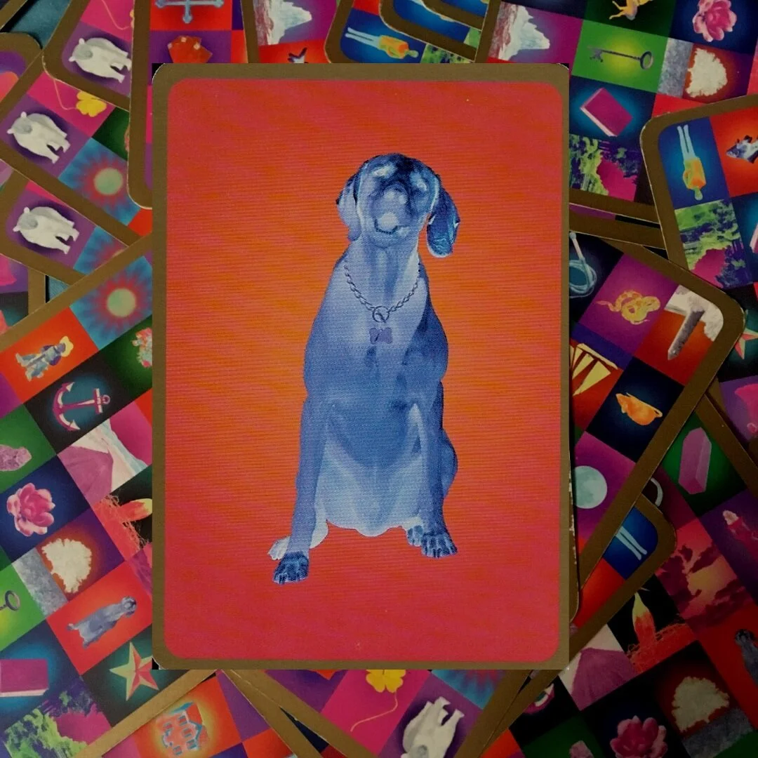 The Dog - Lenormand Card Meanings, Combinations, and Example Spreads