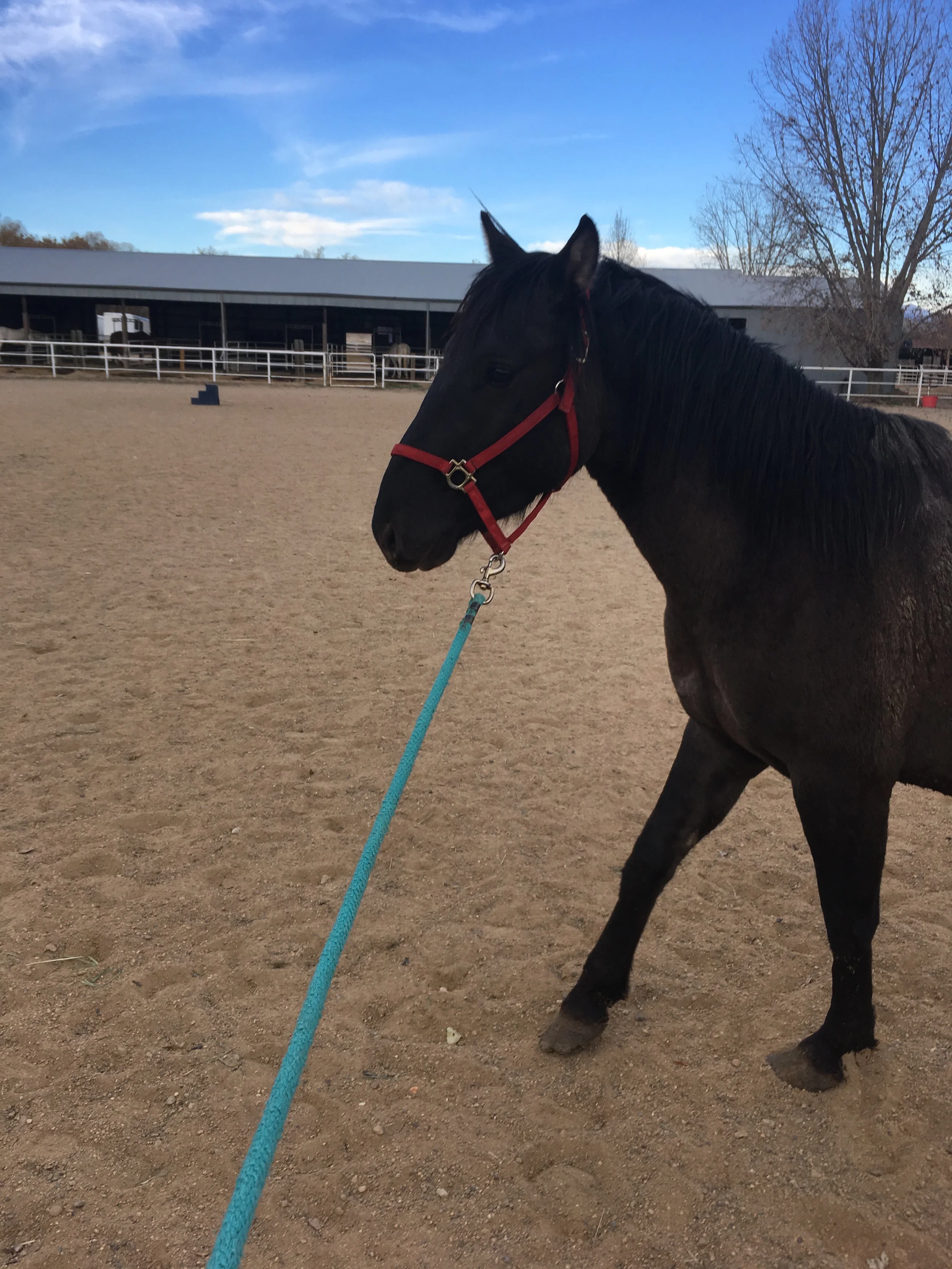 Dakota’s first steps being led