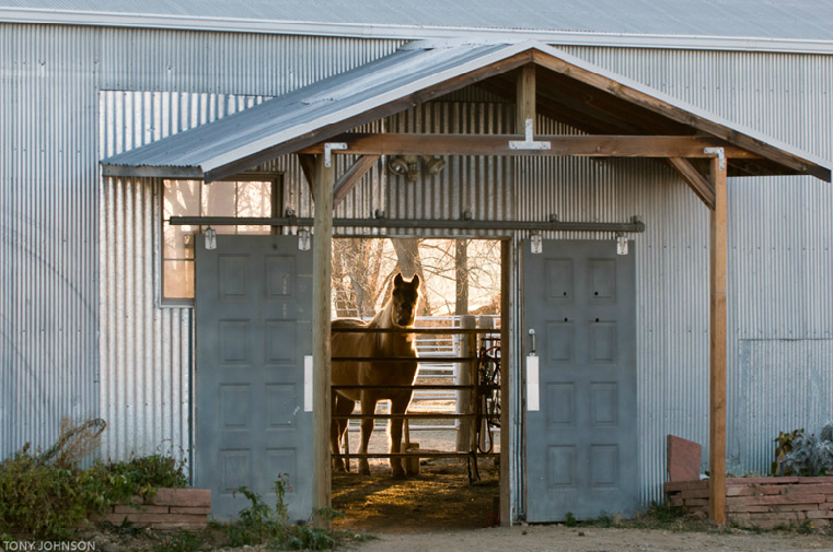 G et involved Become a volunteer at Medicine Horse