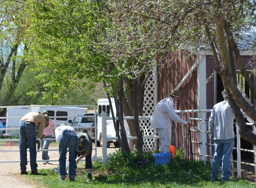 volunteers painting.jpg